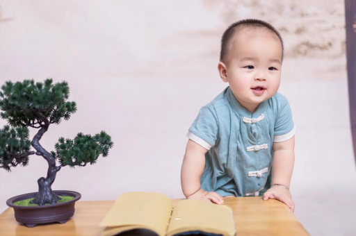 合肥可爱的企鹅宝宝